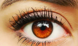 Amber Eyes: Who has them? Popularity Worldwide