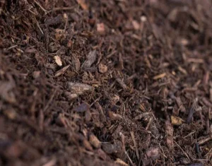 Maximize Garden Vitality and Curb Appeal with North County Mulch’s Expert Mulching